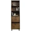 Stanton Narrow Bookcase